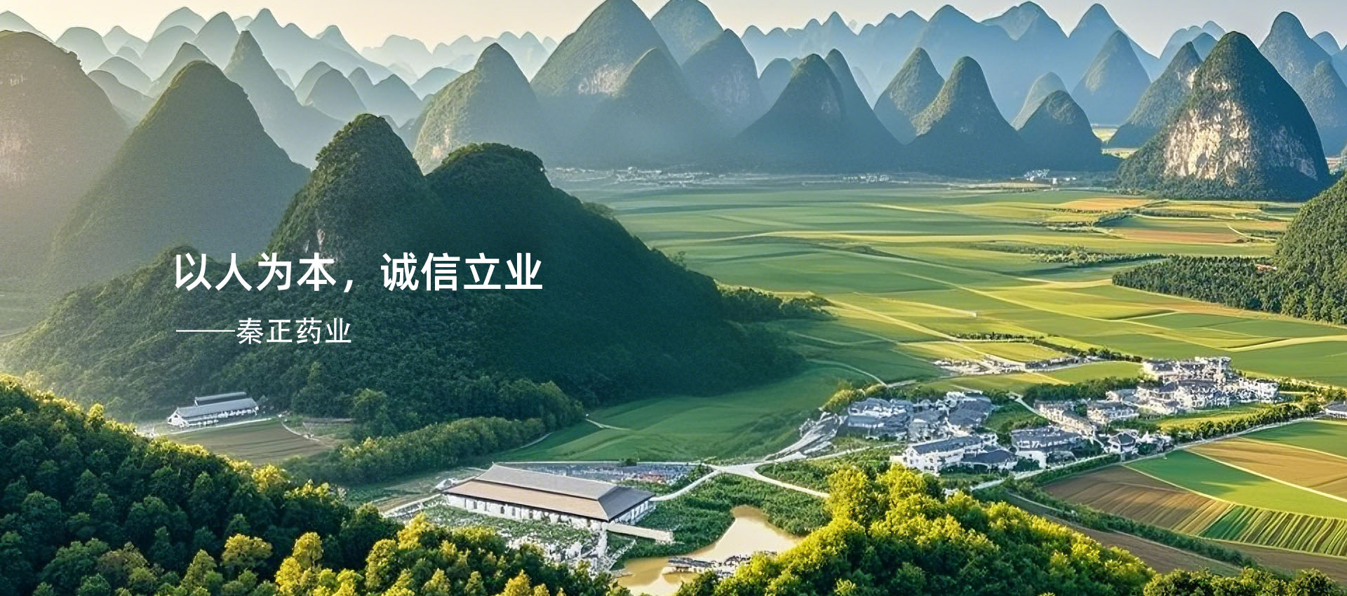 广东秦正药业有限公司